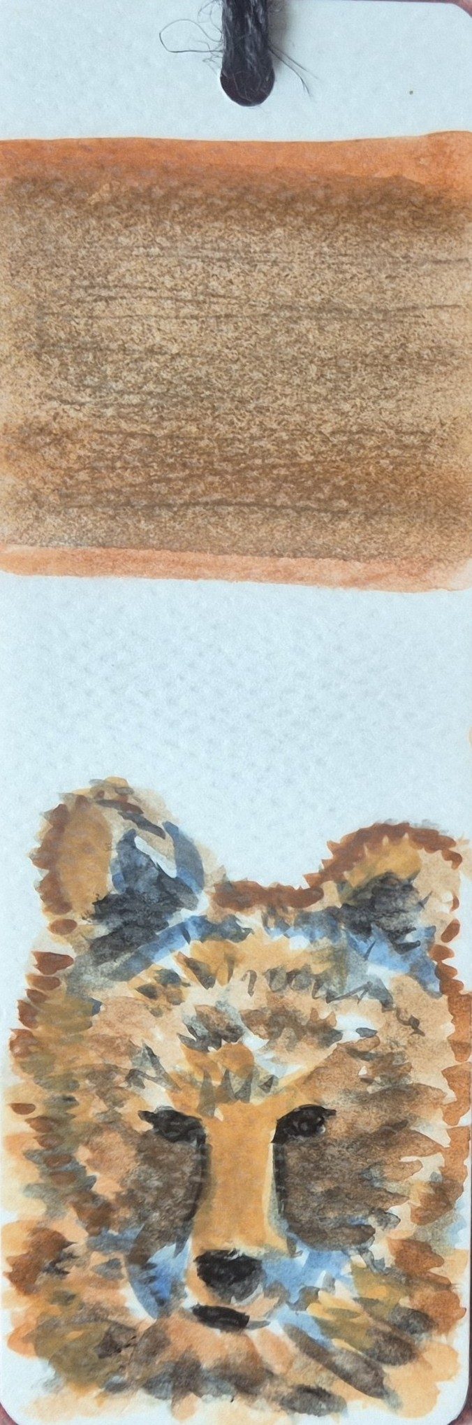 Björn