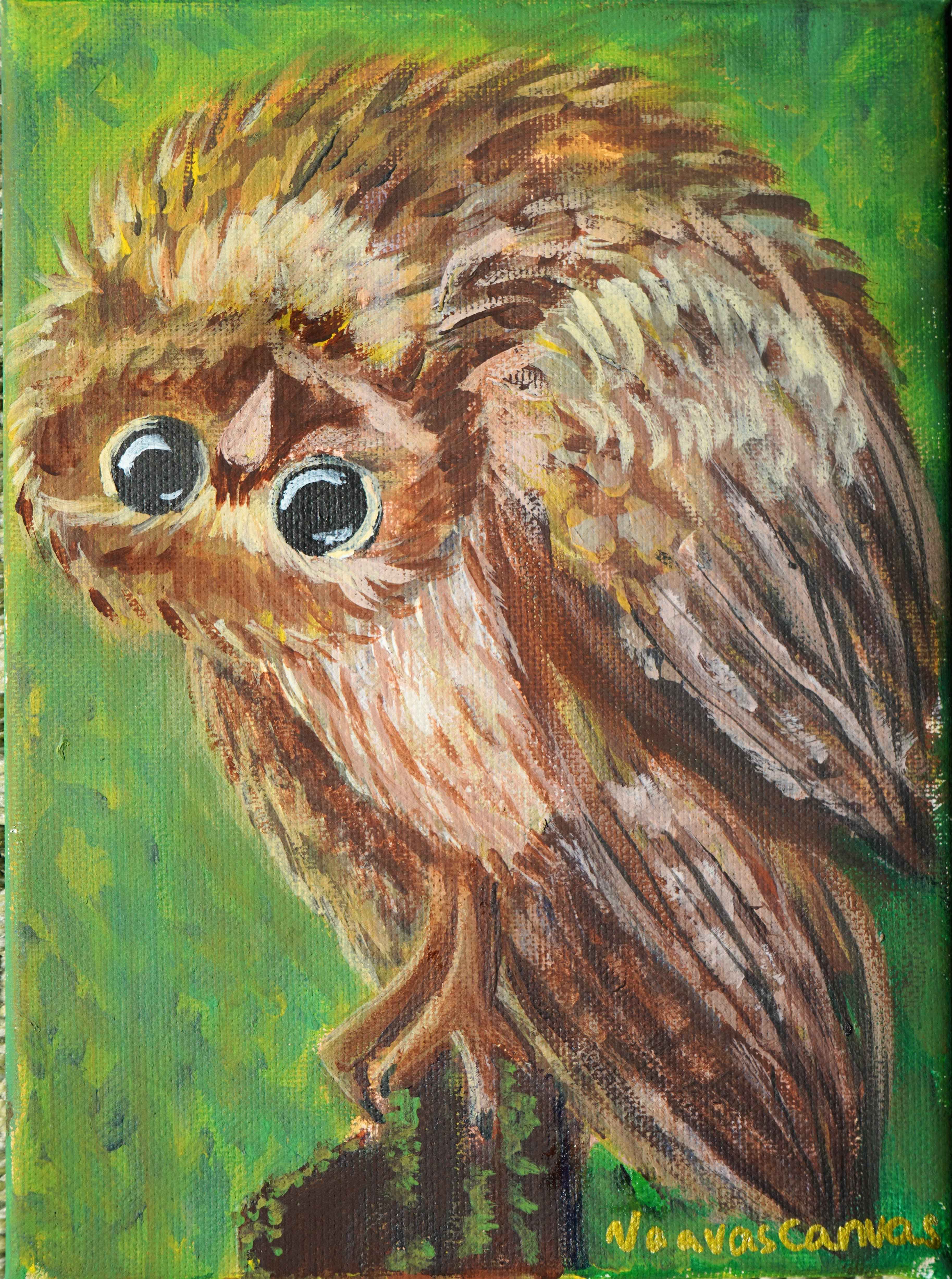 Kattuggla